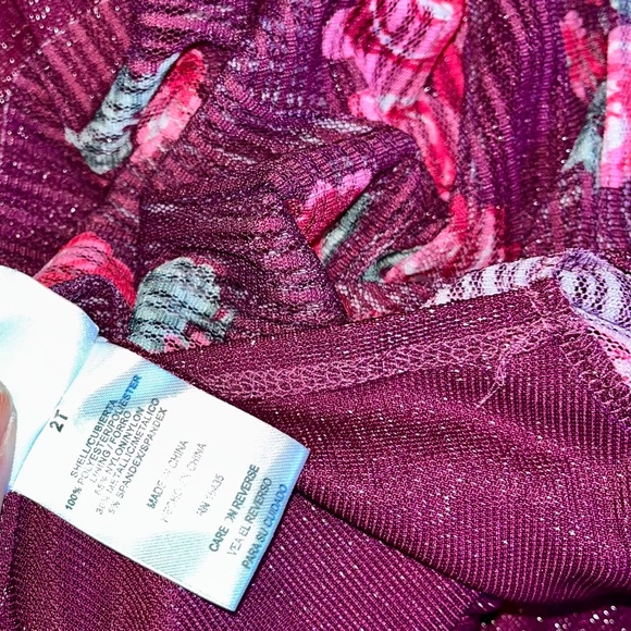 Nannette Kids Girls Pleated Tulle Overlay Velvet Ribbon Waist Rose Dress 2T 4T - Picture 8 of 8